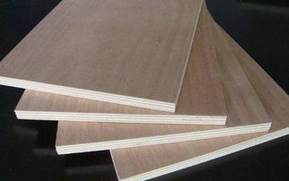 山东人造板经销市场遇冷 营收与利润双降的行业挑战